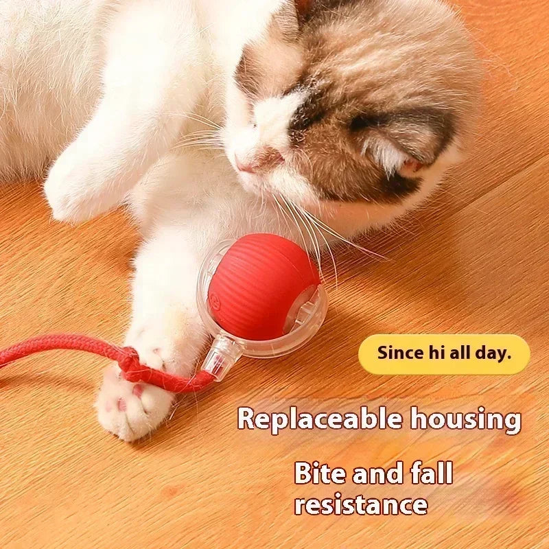 Cat Teaser Interactive Ball Toys Automatic Rolling Ball