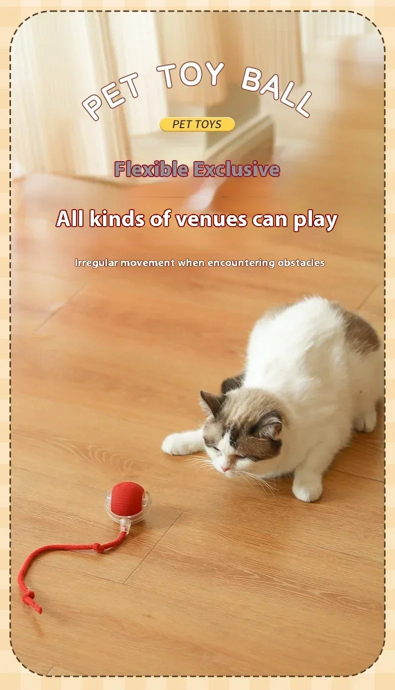 Cat Teaser Interactive Ball Toys Automatic Rolling Ball