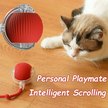 Cat Teaser Interactive Ball Toys Automatic Rolling Ball